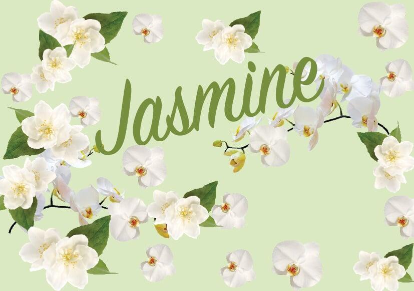 Jasmine Jasmine